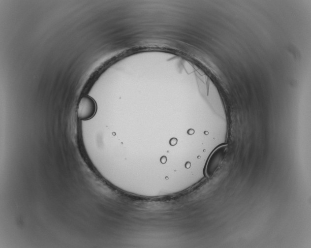 X0000113890984200910221413
