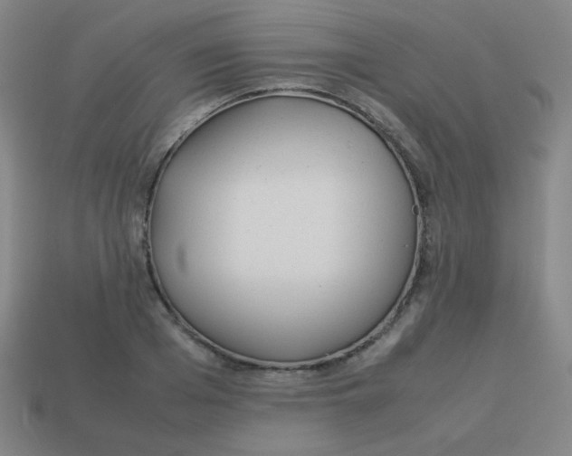 X0000113890985200910221413