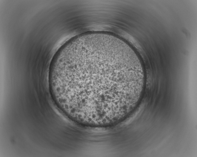 X0000113890986200910221413