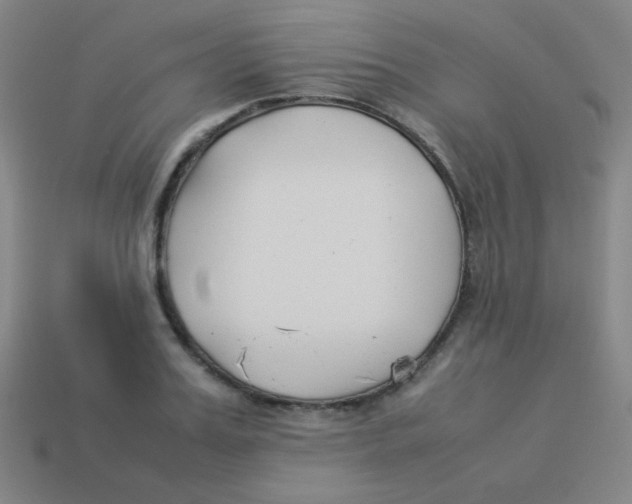 X0000113890987200910221413