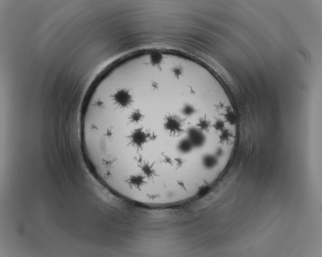 X0000113890988200910221413