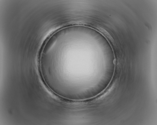 X0000113890989200910221413