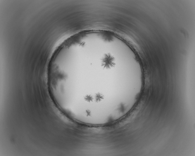 X0000113890990200910221413