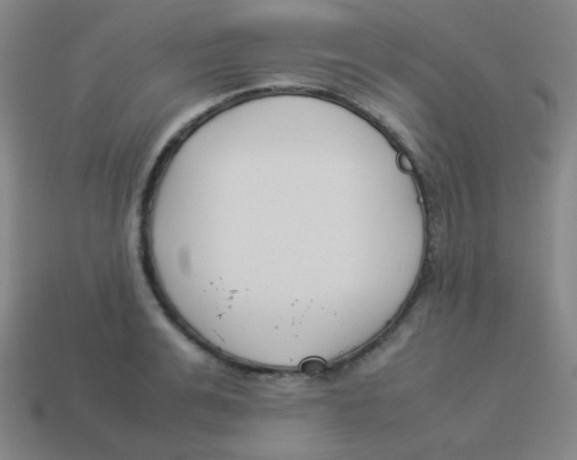 X0000113890991200910221413