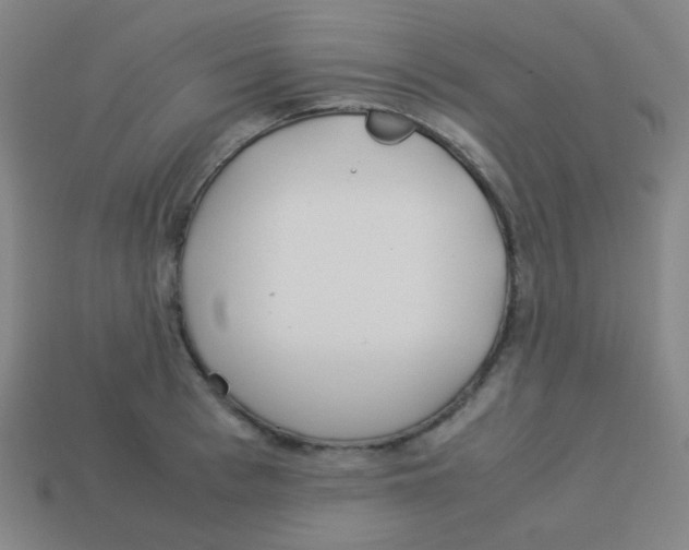 X0000113890993200910221413