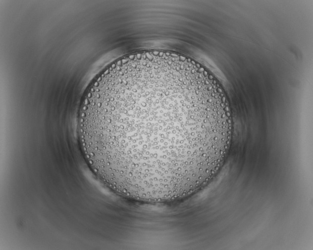 X0000113890994200910221413