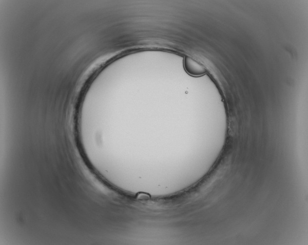 X0000113890995200910221413