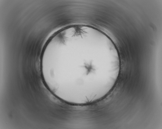X0000113890996200910221413