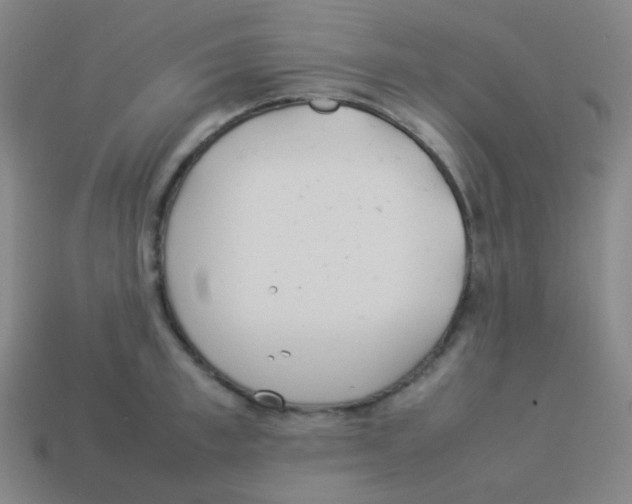 X0000113890997200910221413
