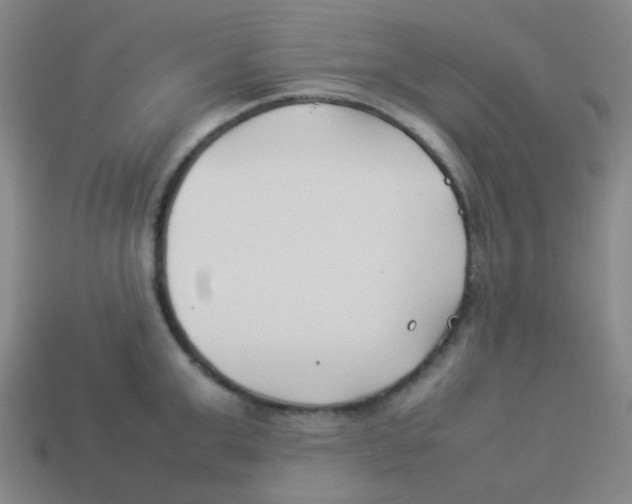 X0000113890999200910221413