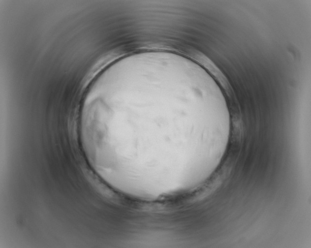 X0000113891002200910221413