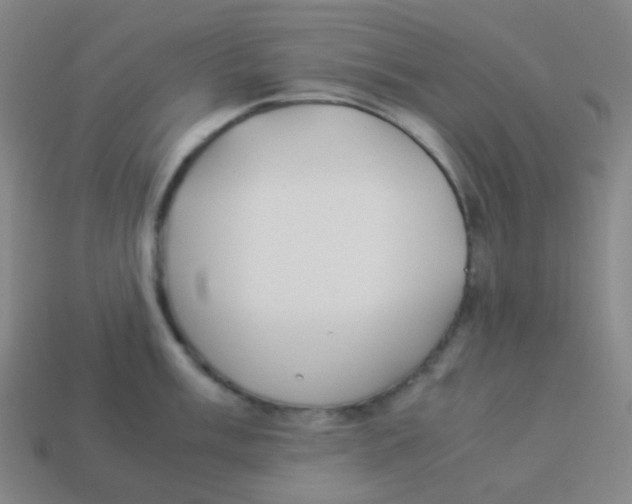X0000113891003200910221413