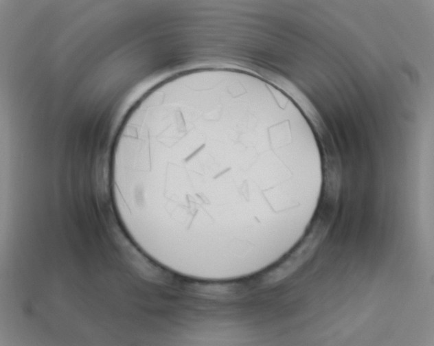 X0000113891004200910221413
