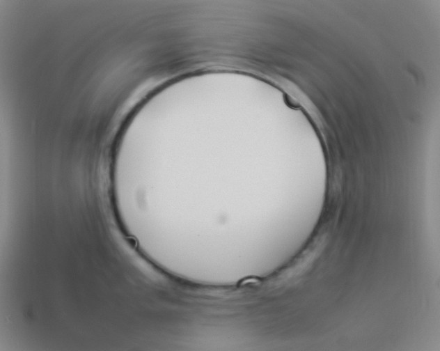 X0000113891005200910221413