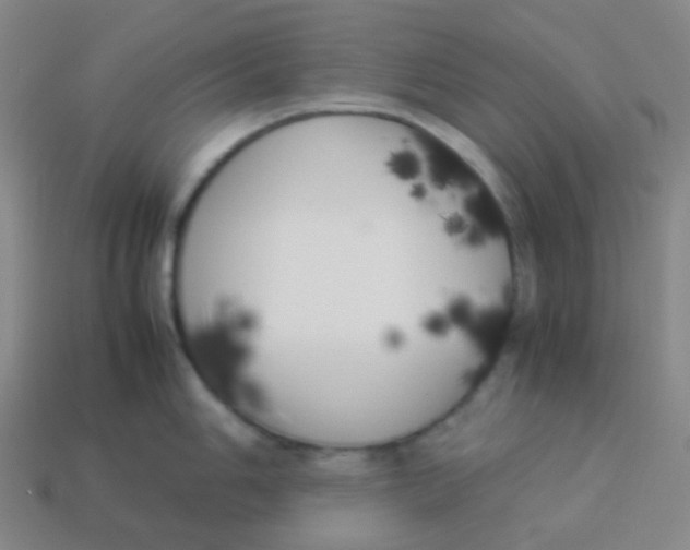 X0000113891006200910221413
