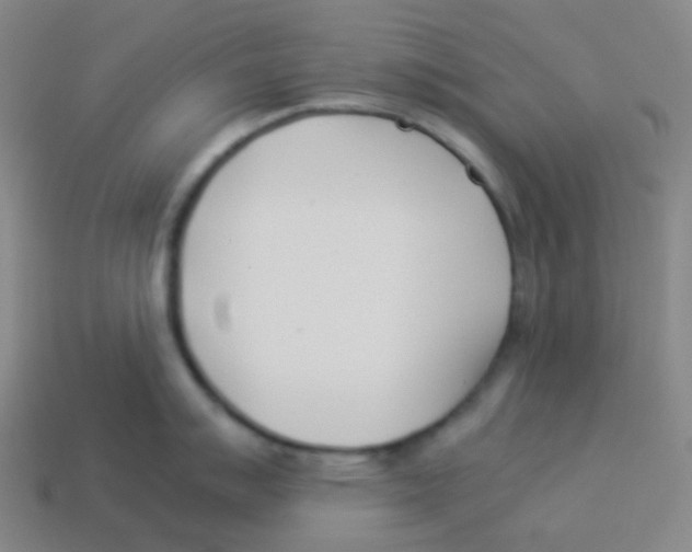 X0000113891007200910221413