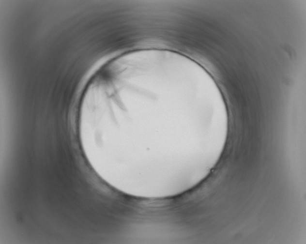 X0000113891008200910221413