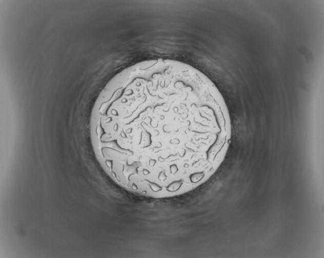 X0000113891009200910221412