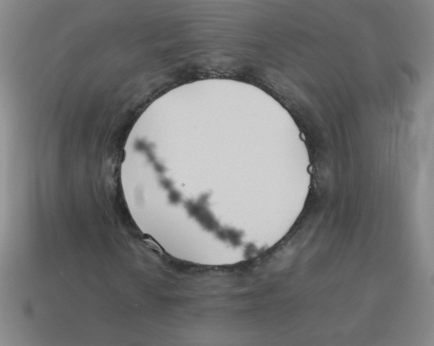 X0000113891010200910221412
