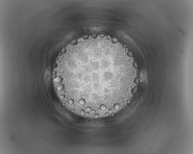 X0000113891011200910221412