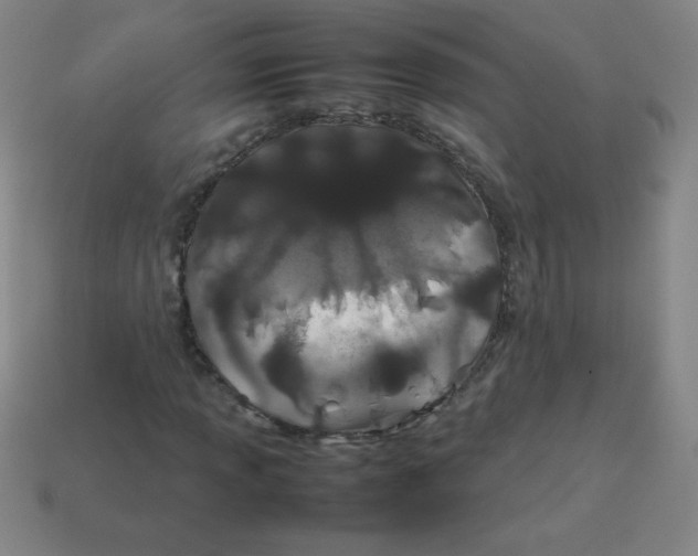 X0000113891013200910221412