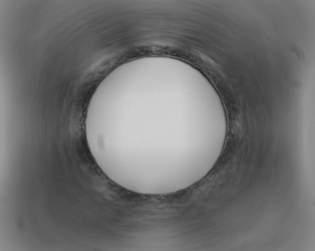 X0000113891014200910221412