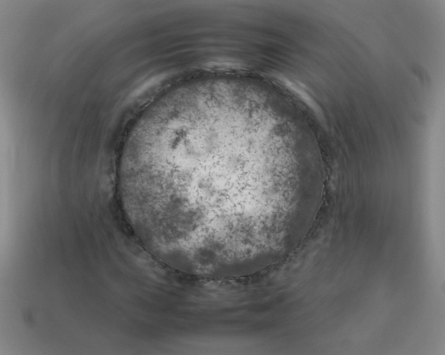 X0000113891015200910221412