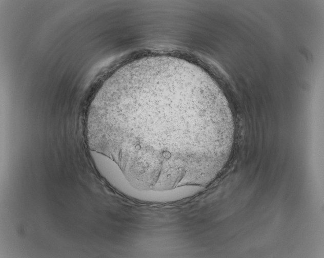 X0000113891016200910221412