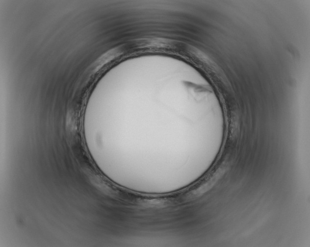 X0000113891017200910221412