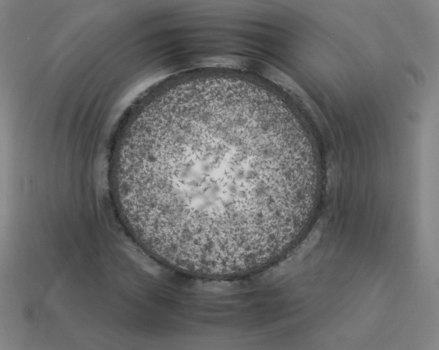 X0000113891019200910221412