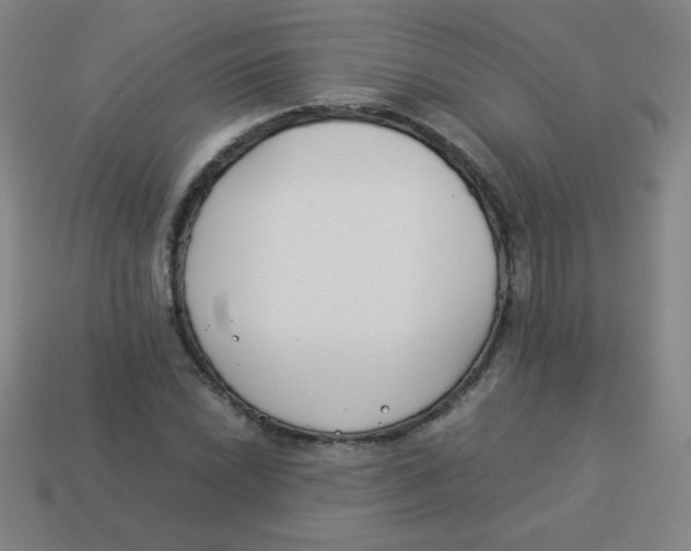 X0000113891022200910221412