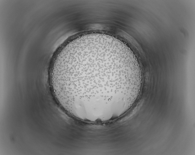 X0000113891023200910221412