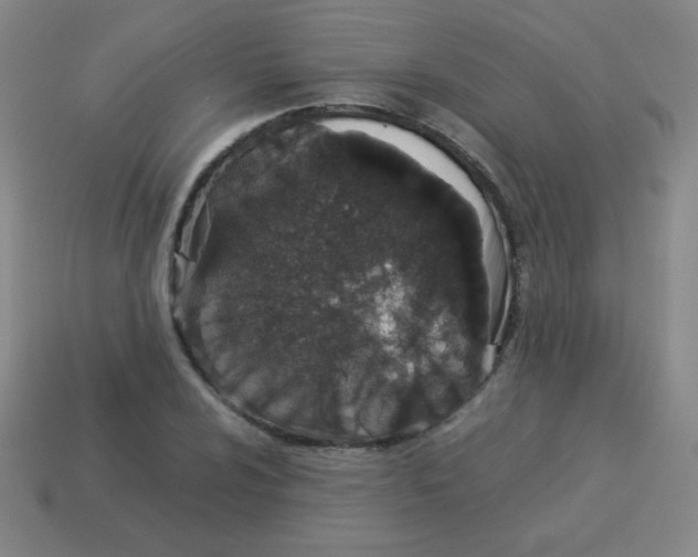 X0000113891024200910221412