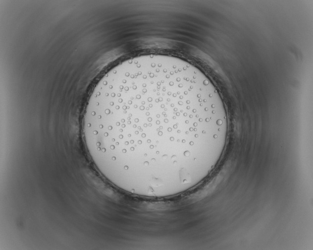 X0000113891025200910221412