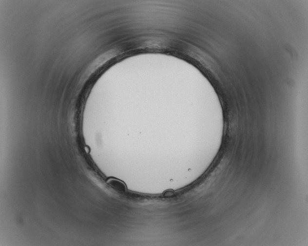 X0000113891026200910221412