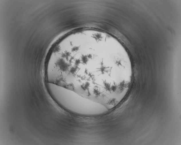 X0000113891028200910221412