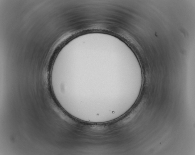 X0000113891029200910221412