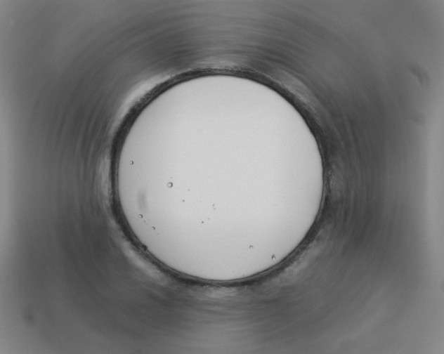 X0000113891030200910221412
