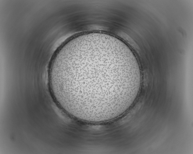 X0000113891031200910221412
