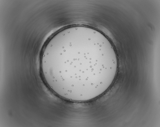 X0000113891032200910221412