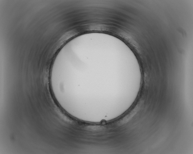 X0000113891033200910221412