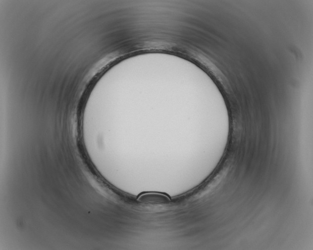 X0000113891034200910221412