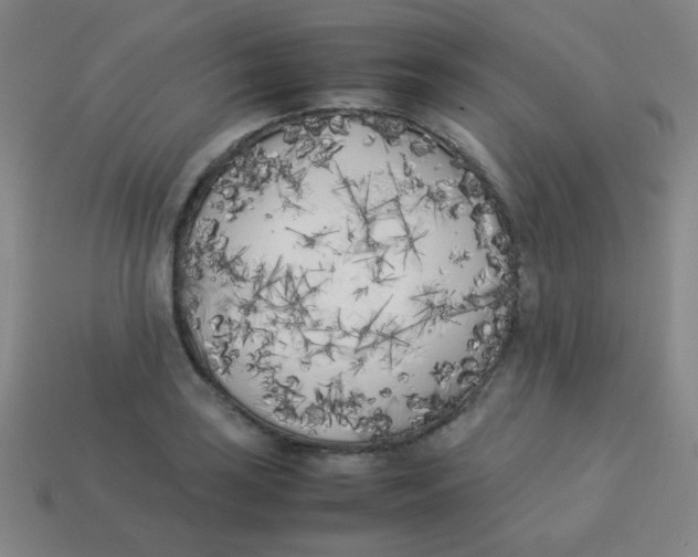 X0000113891035200910221412