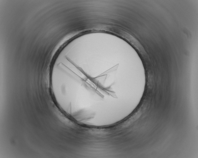 X0000113891036200910221412
