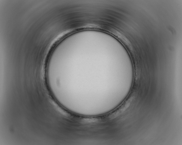 X0000113891037200910221412