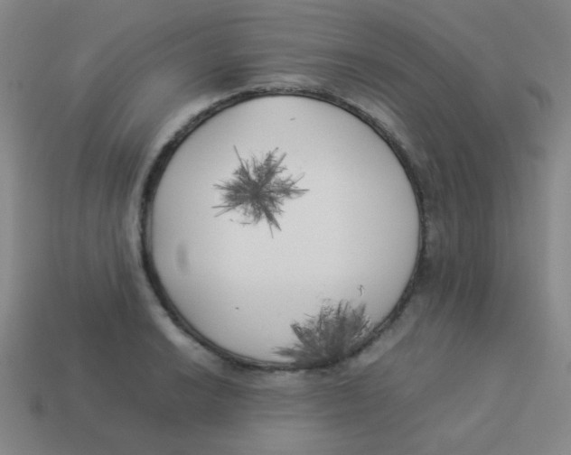 X0000113891038200910221412