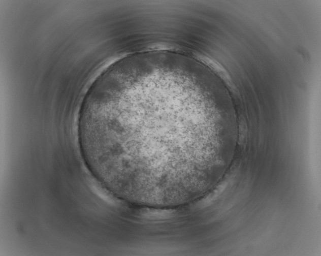 X0000113891039200910221412