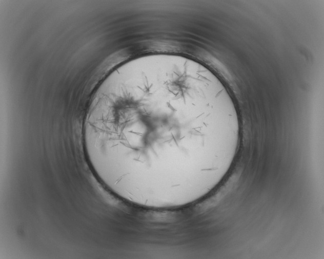 X0000113891041200910221412