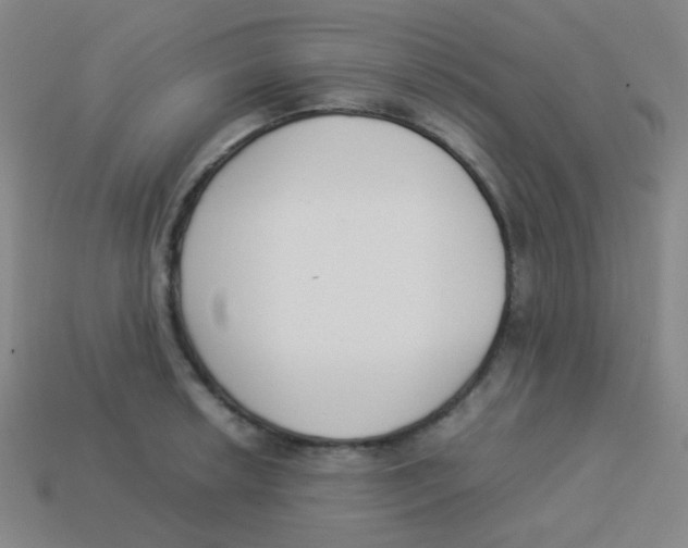 X0000113891042200910221412