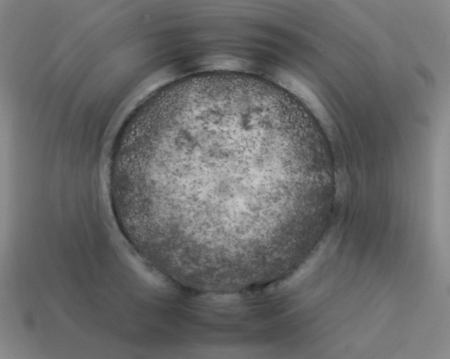 X0000113891043200910221412